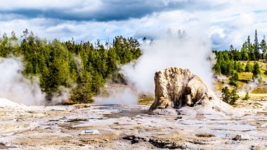 Birleşik Devletler 'in Wyoming eyaletindeki Yellowstone Ulusal Parkı' ndaki Continental Divide Trail boyunca uzanan Yukarı Gayzer Havzası 'ndaki Dev Gayzer' den sızan buhar ve su.