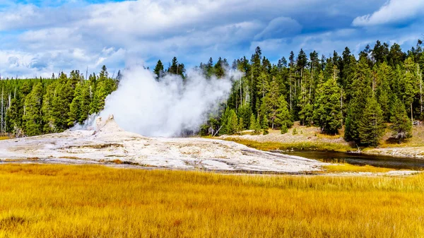 Eau Chaude Geyser Géant Jetant Dans Rivière Firehole Dans Bassin — Photo