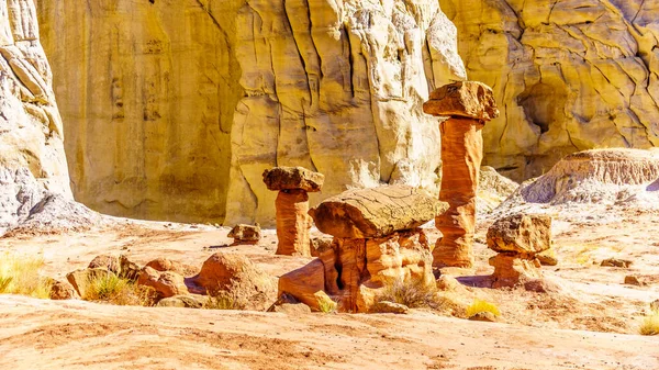 Toadstool Hoodoos Contra Fundo Das Montanhas Arenito Coloridas Trilha Caminhadas — Fotografia de Stock