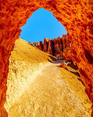 Amerika Birleşik Devletleri 'nin Utah eyaletindeki Bryce Canyon Ulusal Parkı' ndaki Navajo Patikası 'nda Vermilion Renkli Hoodoos' da kemer açılıyor.