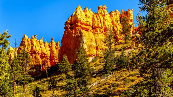 Vermilion Colored Hoodoos Queen Garden Trail Bryce Canyon National Park — Stock Photo, Image