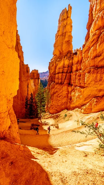 Wall Street Hiking Trail Vermilion Colored Pinnacles Hoodoos Bryce Canyon — Stock Photo, Image