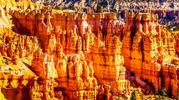 Sunrise Vermilion Colored Pinnacles Hoodoos Amphitheaters Navajo Loop Trail Bryce — Fotografia de Stock