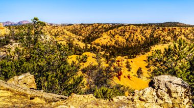 Birleşik Devletler 'in Utah eyaletindeki Red Canyon State Park' ındaki Cassidy Trail ve Rich Trail 'deki yarı çöl manzarası ve dağlarda yürüyüş yapmak.