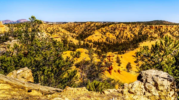 Hiking Semi Desert Landscape Mountains Cassidy Trail Rich Trail Red — Stock Photo, Image