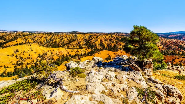 Wandern Durch Die Halbwüstenlandschaft Und Die Berge Auf Dem Cassidy — Stockfoto