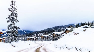 Britanya Kolumbiyası, Kanada 'nın Shuswap Dağları' ndaki bir Alp Köyü olan Sun Peaks Köyü 'nün kış manzarasında pullu ve kumlu bir yol.