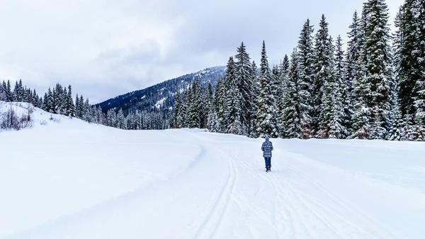 Walking through the snow in the Winter landscape at the Village of Sun Peaks, an Alpine Village in the Shuswap Highlands of British Columbia, Canada