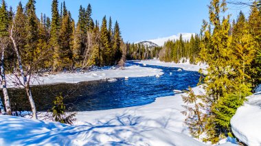 Kışın Murtle Nehri 'ni kaplayan kar ve buz, Wells Gray İl Parkı' ndaki Cariboo Dağları 'nda, British Columbia, Kanada