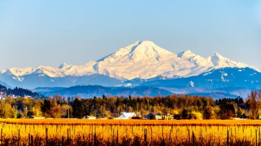 Sunset over Mount Baker, a dormant volcano in Washington State. Viewed Glen Valley near Abbotsford British Columbia, Canada under clear blue sky on a nice winter day clipart