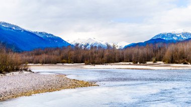 Brackendale Eagles İl Parkı 'ndaki Squamish Nehri. Britanya Kolumbiyası, Kanada' da ünlü bir Kartal izleme noktası.