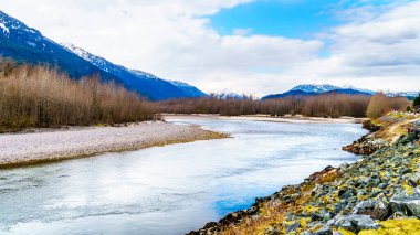 Brackendale Eagles İl Parkı 'ndaki Squamish Nehri. Britanya Kolumbiyası, Kanada' da ünlü bir Kartal izleme noktası.