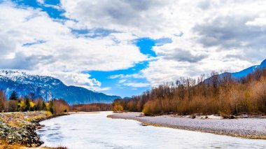 Brackendale Eagles İl Parkı 'ndaki Squamish Nehri. Britanya Kolumbiyası, Kanada' da ünlü bir Kartal izleme noktası.