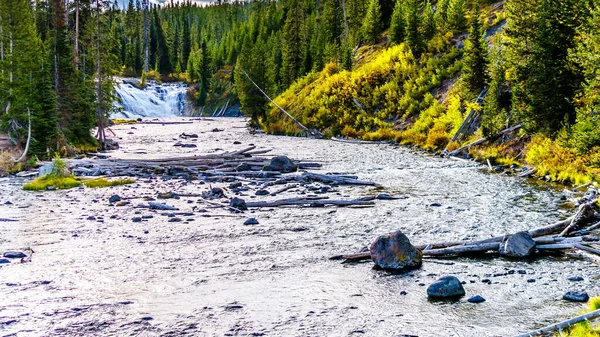 Lewis Falls Lewis River Crossing Highway 287 Yellowstone National Park — Stock Photo, Image