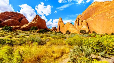 Birleşik Devletler 'in Utah kentindeki Moab kasabası yakınlarındaki Arches Ulusal Parkı' ndaki Şeytan Bahçesi 'nde eşsiz kırmızı kumtaşı çıngırakları ve kaya yüzgeçleri.