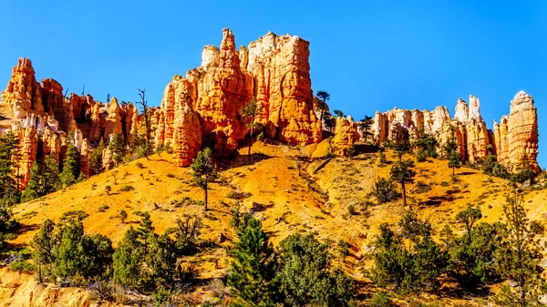 Vermilion Colored Pinnacles Hoodoos Mossy Cave Walking Trail Bryce Canyon — Stockfoto