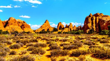 Birleşik Devletler 'in Utah kentindeki Moab kasabası yakınlarındaki Arches Ulusal Parkı' ndaki Şeytan Bahçesi 'nde eşsiz kırmızı kumtaşı çıngırakları ve kaya yüzgeçleri.