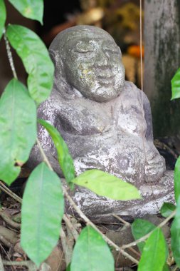 küçük antik Buddha heykeli yeşil yaprak ağacı ile surround