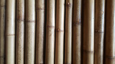 doğal desenler arka planlar ile yakın çekim bambu doku ve yan gölgeler