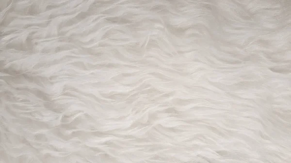 Blanc naturel pelucheux plat mouton texture de peau d'animal de compagnie milieux, matériau pour la décoration de la maison tapis, industrie textile en cuir entreprise de fabrication — Photo