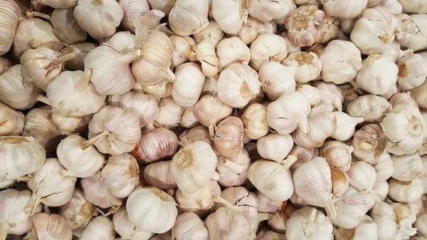 Grupo de diferentes tamaños de ajo asiático orgánico fresco en el mercado de la cocina gourmet fresca — Foto de Stock