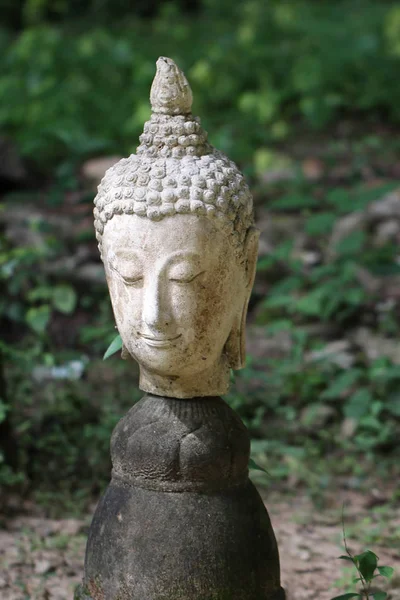 400 años de antigua estatua de piedra buda cabeza en el bosque, arte escultura artesanal, cabeza, cara, lóbulo, oreja, pelo, nariz — Foto de Stock