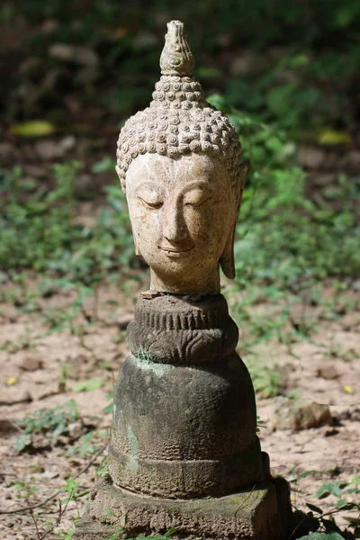 400 years old of ancient head stone buddha statue in the forest, art crafting sculpture, head, face, lobe, ear, hair, nose — Stock Photo, Image