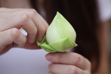 bayanın eller güzel yeşil organik Lotus yaprak, çiçek katlama, meditasyon için öğretim katlama