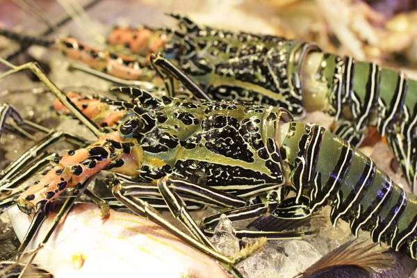 Riesiger Roher Frischer Hummer Große Wilde Garnelen Gefangen Wunderbares Fischrestaurant — Stockfoto