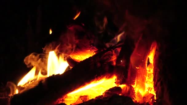 Zeitlupe. Lagerfeuer. Holzverbrennung auf dem Hof. Nahsicht. Weitschuss — Stockvideo