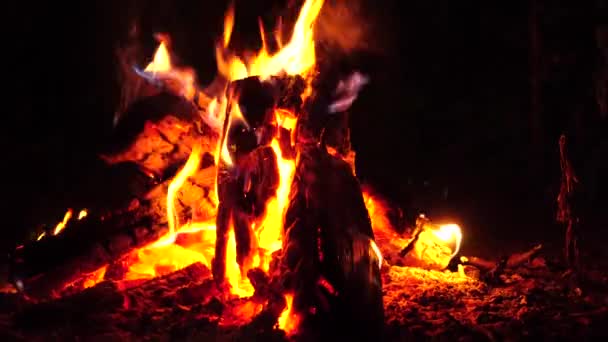 Lagerfeuer. Holzverbrennung auf dem Hof. 4k Nahaufnahme. — Stockvideo