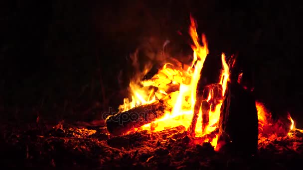 Vreugdevuur. Het verbranden van hout op de werf. Close-up van 4k. — Stockvideo