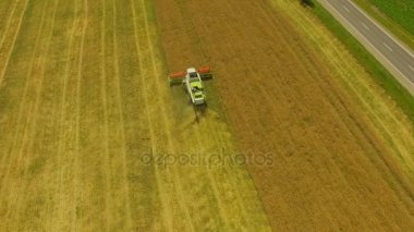 Hava. Tarım iş. Hasat toplar buğday kırpma birleştirin. 4k