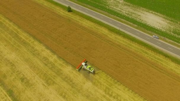 Aerial. Agricultural work. Combine harvester gathers the wheat crop. 4K — Stock Video