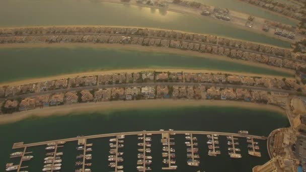 Aérea Jumeirah Palm Island Dubai Casas Lujo Negocios Apartamentos Emiratos — Vídeos de Stock