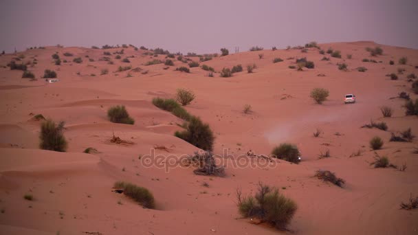 Desert Dune Driving 4X4 Road Adventure Emiratos Árabes Unidos Agosto — Vídeos de Stock