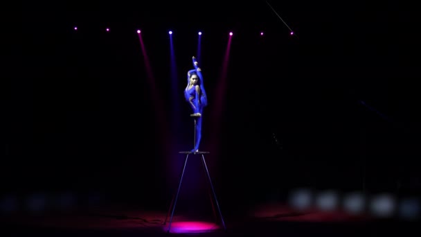 Flexibele Mooie Slanke Gymnast Kunstenaar Die Het Stadium Presteert — Stockvideo