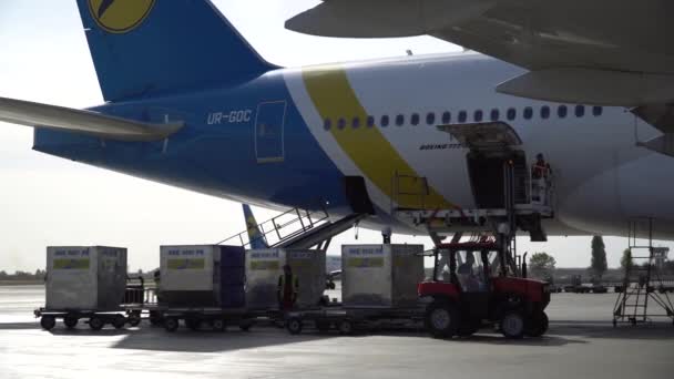Airport Staff Loads Baggage Airplane — Stock Video