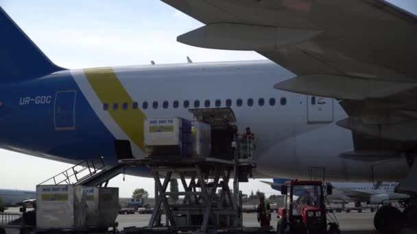 Flughafenmitarbeiter Laden Das Gepäck Ins Flugzeug — Stockvideo