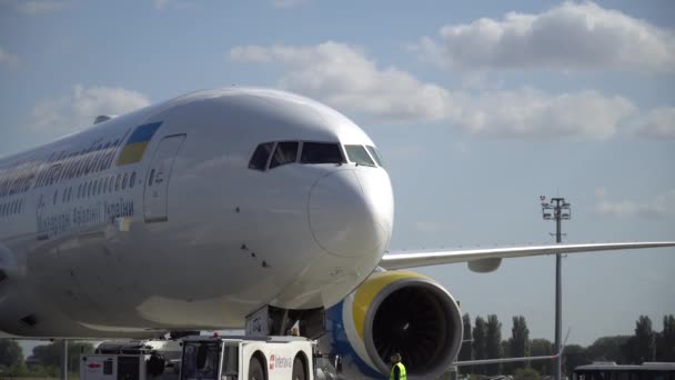 Kyiv Ukraine Wrzesień 19Th 2019 Samolot Odlatujący Wylądowaniu Lotnisku — Wideo stockowe
