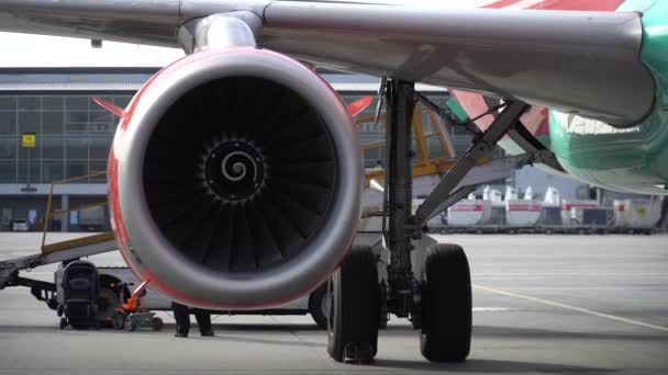 Personel Lotniska Ładuje Bagaż Samolotu — Wideo stockowe