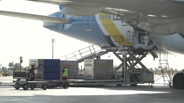 Персонал Аеропорту Завантажує Багаж Літак — стокове відео