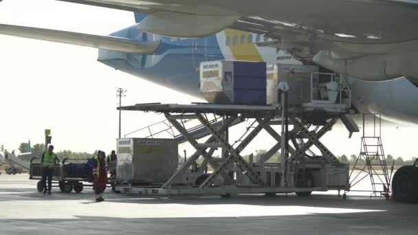 机场工作人员把行李装上飞机 — 图库视频影像