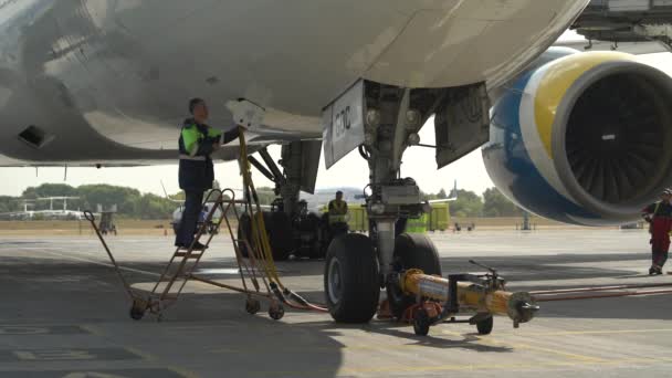 Kijów Ukraina Września 2019 Samolot Służbie Wylądowaniu Lotnisku — Wideo stockowe