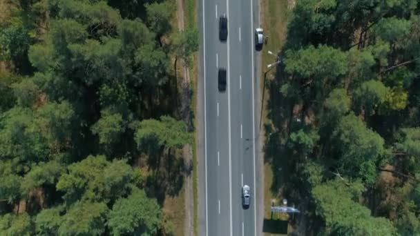 Aéreo Rastreamento Tiro Drone Espionando Carro Estrada Florestal — Vídeo de Stock