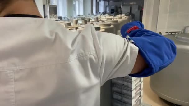 Células Madre Congeladas Tubos Ensayo Colocados Recipiente Con Nitrógeno — Vídeo de stock