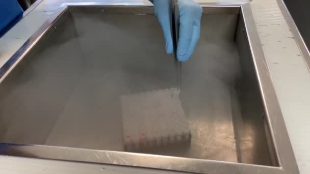 Las Células Madre Congeladas Extraen Del Recipiente Con Nitrógeno — Vídeo de stock