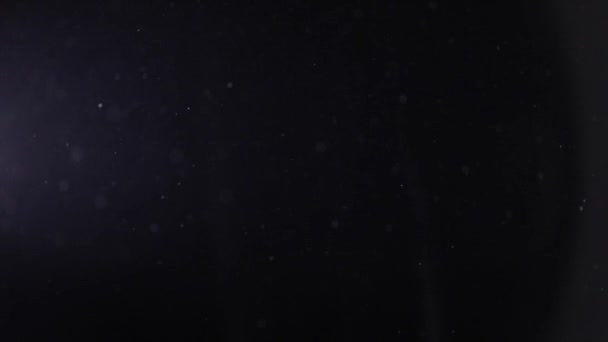 Particules de poussière naturelle flottent sur fond noir .