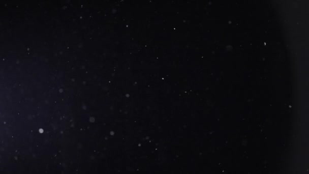 Particules de poussière naturelle flottent sur fond noir .