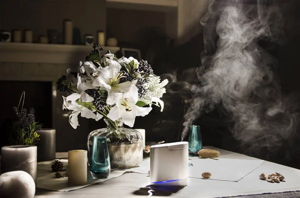 Air humudifier i vardagsrummet — Stockfoto